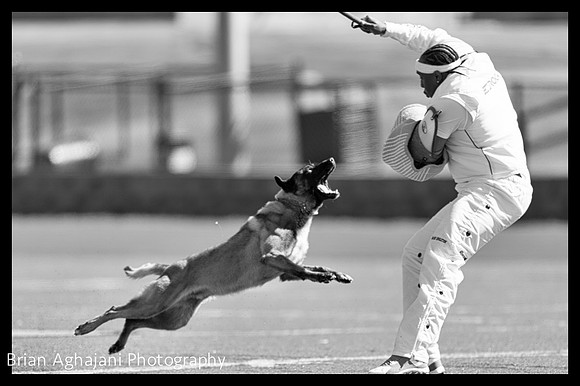 20150410_AWDF__seq1795_BrianAghajani-ME-4928_x_3280-2-ME-3591_x_2390.jpg
