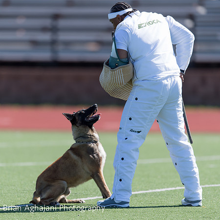 20150410_AWDF__seq1833_BrianAghajani.jpg