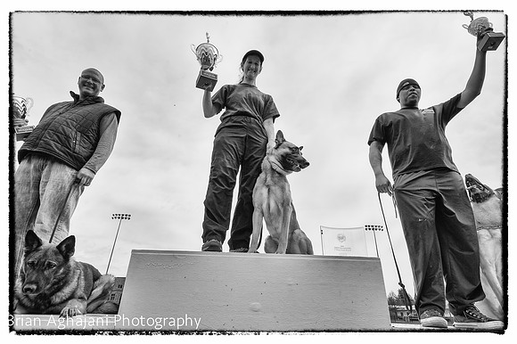 20150412_AWDF-11139_b.aghajani-ME-4928_x_3280.jpg