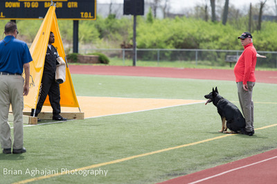 20150411_AWDF-7193_b.aghajani.jpg