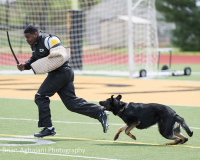 20150411_AWDF-7195_b.aghajani.jpg