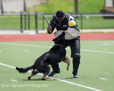 20150411_AWDF-7209_b.aghajani.jpg