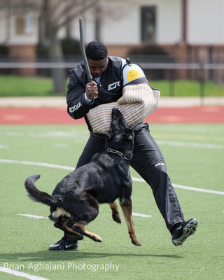 20150411_AWDF-7211_b.aghajani.jpg