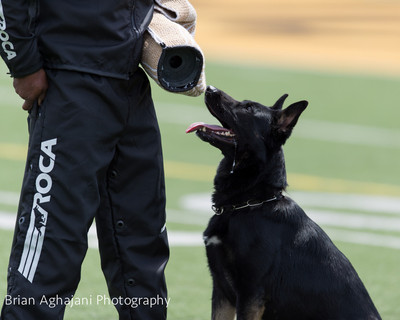 20150411_AWDF-7221_b.aghajani.jpg