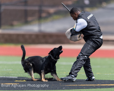 20150411_AWDF-7227_b.aghajani.jpg