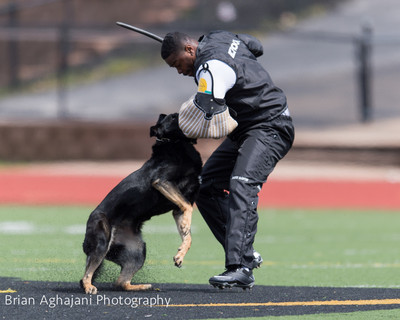 20150411_AWDF-7228_b.aghajani.jpg