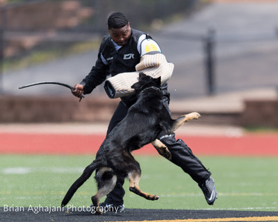 20150411_AWDF-7230_b.aghajani.jpg