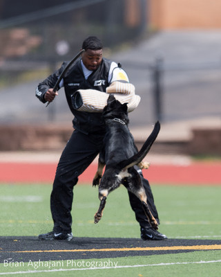 20150411_AWDF-7231_b.aghajani.jpg