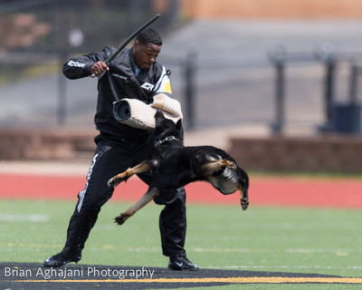 20150411_AWDF-7232_b.aghajani.jpg