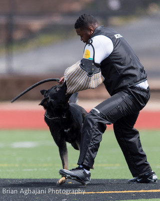 20150411_AWDF-7241_b.aghajani.jpg
