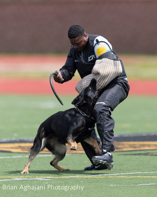 20150411_AWDF-7253_b.aghajani.jpg