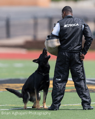 20150411_AWDF-7260_b.aghajani.jpg