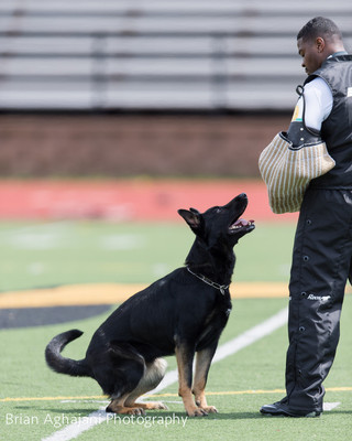 20150411_AWDF-7267_b.aghajani.jpg