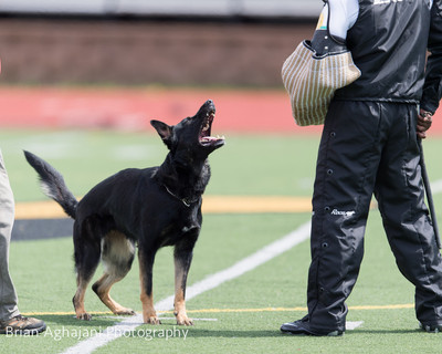 20150411_AWDF-7273_b.aghajani.jpg