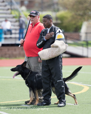 20150411_AWDF-7275_b.aghajani.jpg