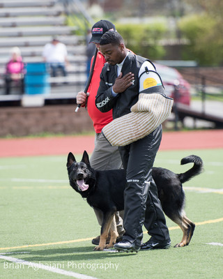 20150411_AWDF-7276_b.aghajani.jpg