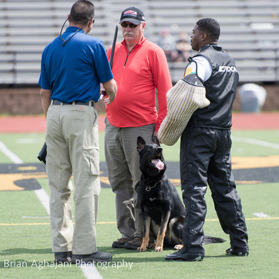20150411_AWDF-7281_b.aghajani.jpg