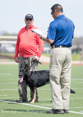 20150411_AWDF-7296_b.aghajani.jpg