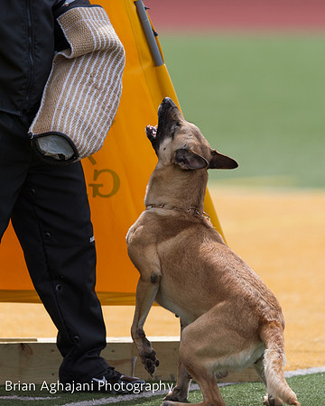 20150411_AWDF-7008_b.aghajani.jpg