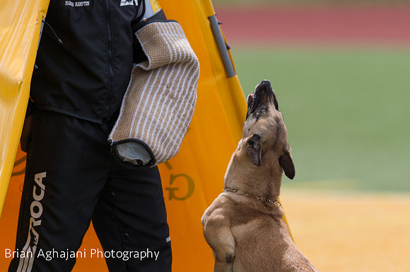 20150411_AWDF-7009_b.aghajani.jpg