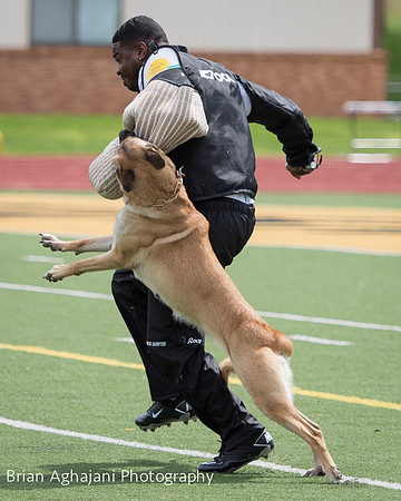 20150411_AWDF-7040_b.aghajani.jpg