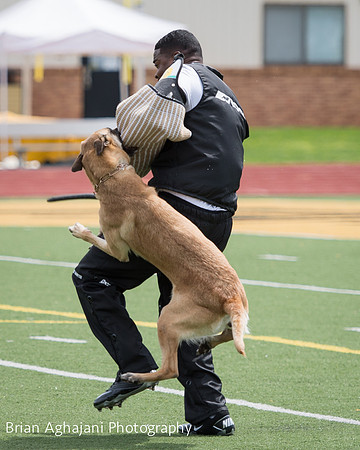 20150411_AWDF-7042_b.aghajani.jpg