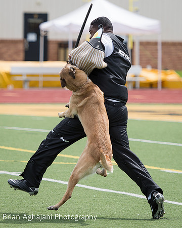 20150411_AWDF-7043_b.aghajani.jpg