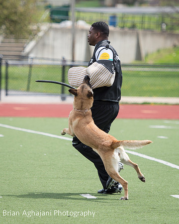 20150411_AWDF-7046_b.aghajani.jpg