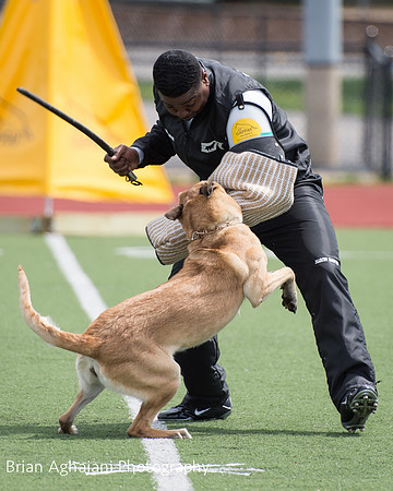 20150411_AWDF-7054_b.aghajani.jpg
