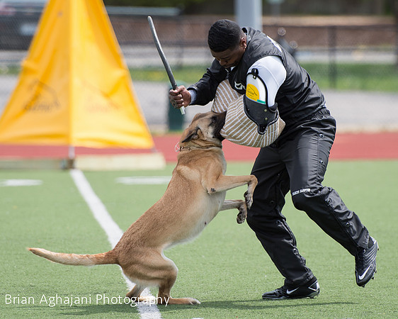 20150411_AWDF-7059_b.aghajani.jpg