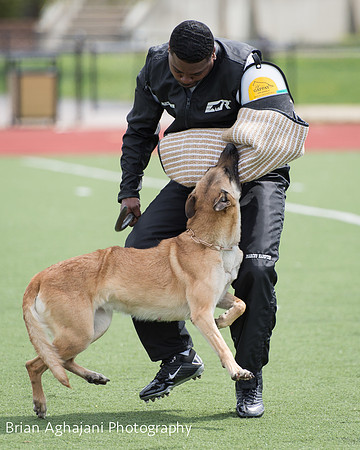 20150411_AWDF-7063_b.aghajani.jpg