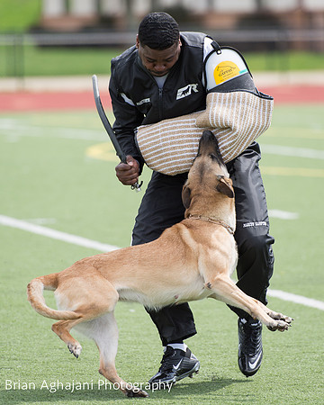 20150411_AWDF-7065_b.aghajani.jpg