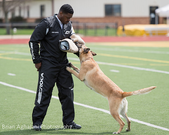 20150411_AWDF-7066_b.aghajani.jpg