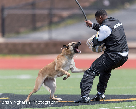 20150411_AWDF-7073_b.aghajani.jpg