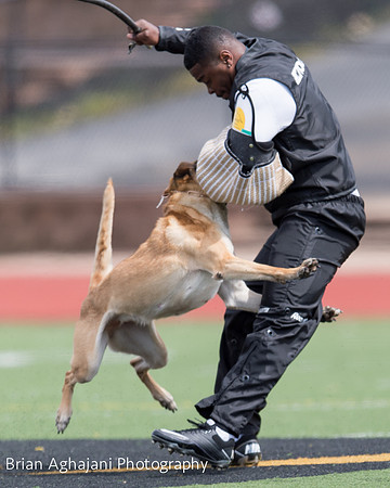 20150411_AWDF-7074_b.aghajani.jpg