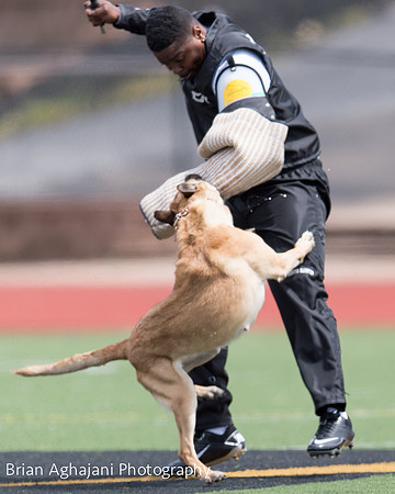 20150411_AWDF-7075_b.aghajani.jpg