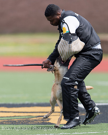 20150411_AWDF-7088_b.aghajani.jpg
