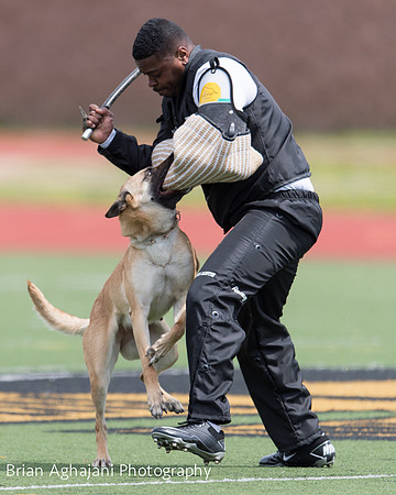 20150411_AWDF-7091_b.aghajani.jpg