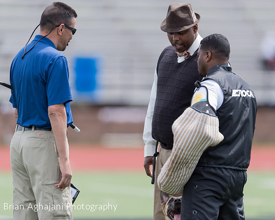20150411_AWDF-7122_b.aghajani.jpg