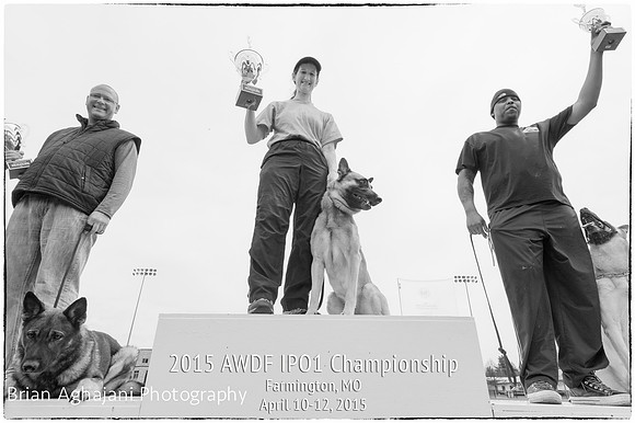 20150412_AWDF-11139_b.aghajani-ME-4928_x_3280-ME-4769_x_3174.jpg