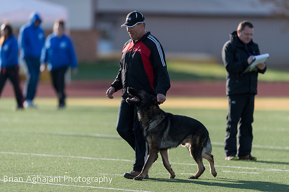 20150411_AWDF-4872_b.aghajani.jpg