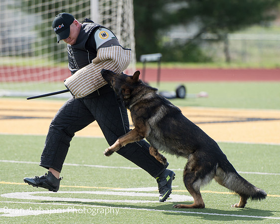 20150411_AWDF-6089_b.aghajani.jpg