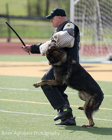 20150411_AWDF-6090_b.aghajani.jpg