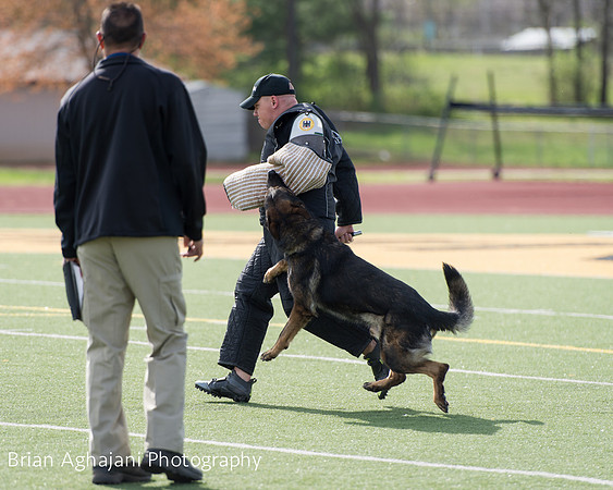 20150411_AWDF-6092_b.aghajani.jpg