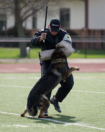 20150411_AWDF-6100_b.aghajani.jpg
