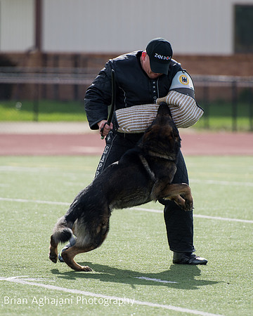 20150411_AWDF-6102_b.aghajani.jpg