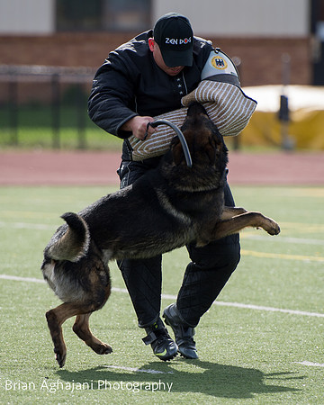 20150411_AWDF-6105_b.aghajani.jpg
