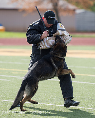 20150411_AWDF-6107_b.aghajani.jpg