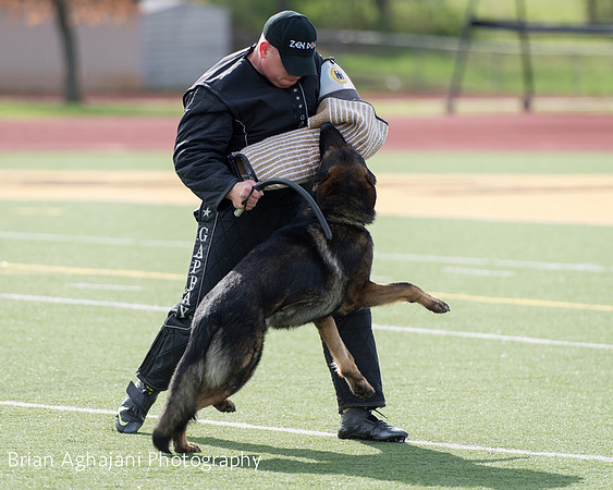 20150411_AWDF-6110_b.aghajani.jpg