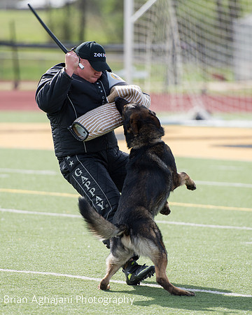 20150411_AWDF-6112_b.aghajani.jpg